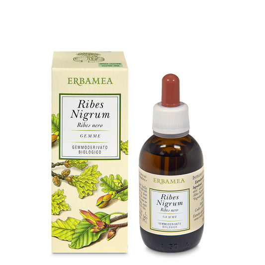 Ribes Nigrum Gemmoderivato 50ml